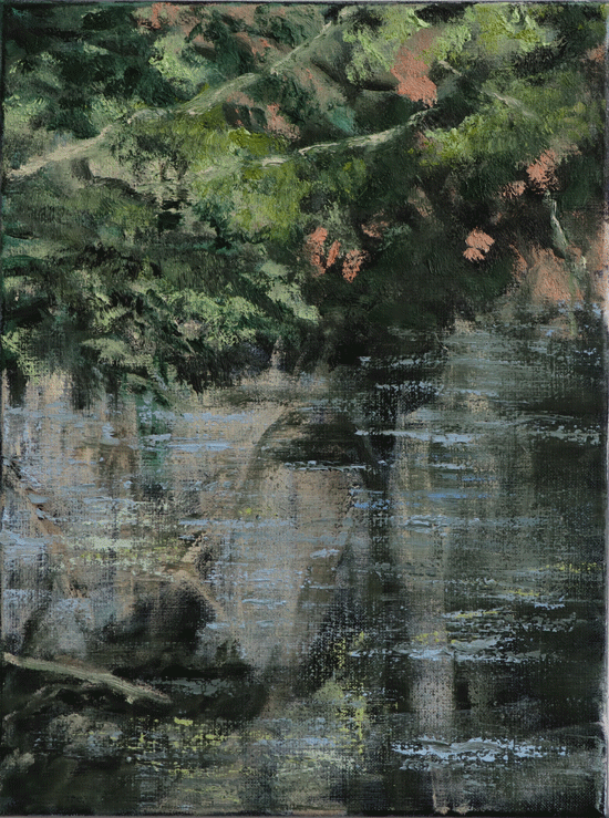 Leidse-Hout-42---40x30---ap.gif